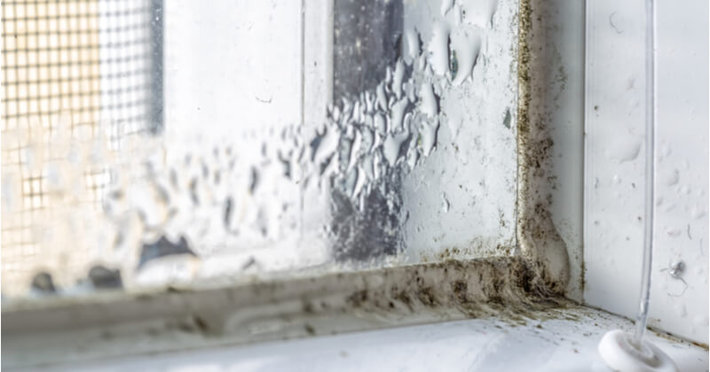 サッシや窓枠のカビはどう除去する 今日できる掃除方法とおすすめ清掃業者 ココナラマガジン
