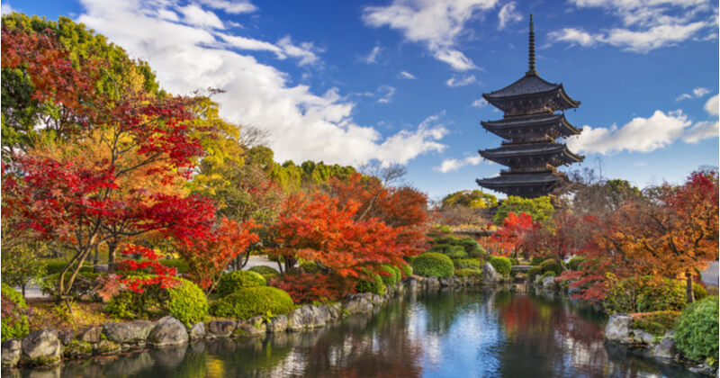 京都観光でガイドを頼むべき4つの理由 世界に選ばれた人気都市の魅力と 手ごろな値段のガイド先もご紹介 ココナラマガジン
