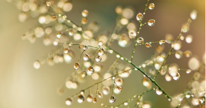 雨の日の写真撮影のポイント 幻想的な一枚に仕上げるためには ココナラマガジン