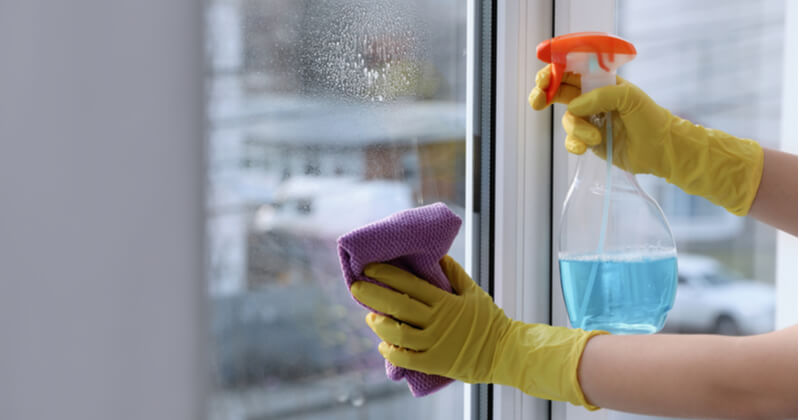 窓掃除の料金はいくら プロに頼むメリットや手順を詳しく解説 ココナラマガジン